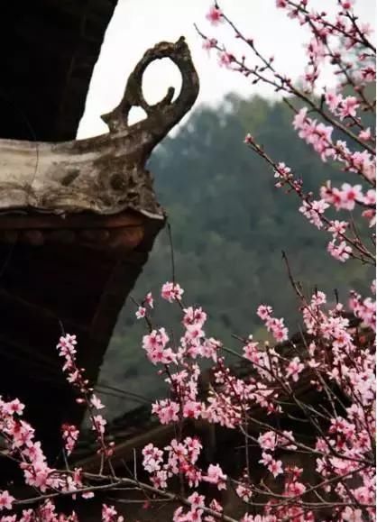  「浙江」浙江45座如画小村镇, 竟私藏江南90%美景, 你去过几个?