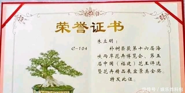 『朱立明』欣赏朱立明的盆景,学会体贴!