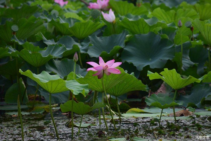 奥迪A6L，宝马X3，奔驰GLB，凯迪拉克CT5，不一样的新感受之九