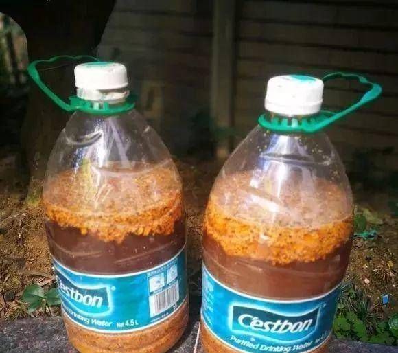  花生麸■节日期间，我们在家里做花肥，它充满了生育能力