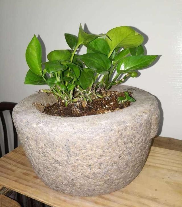  「庭院」农村这些消失的老物件，个个都是宝贝了！放在庭院里养