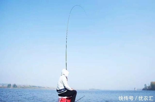 「挂底」钓鱼挂底不用愁,用好这些方法,即可“迎刃而解”