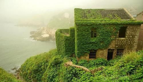 这才是人类消失后的真实世界,和你在电影里看到的完全不一样!