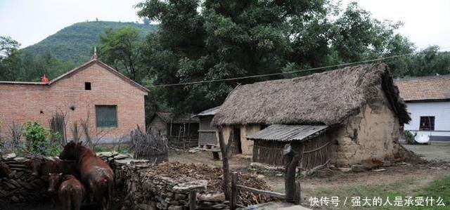 好消息农村又新增5项的补贴，基本上每位农民家庭都能领到