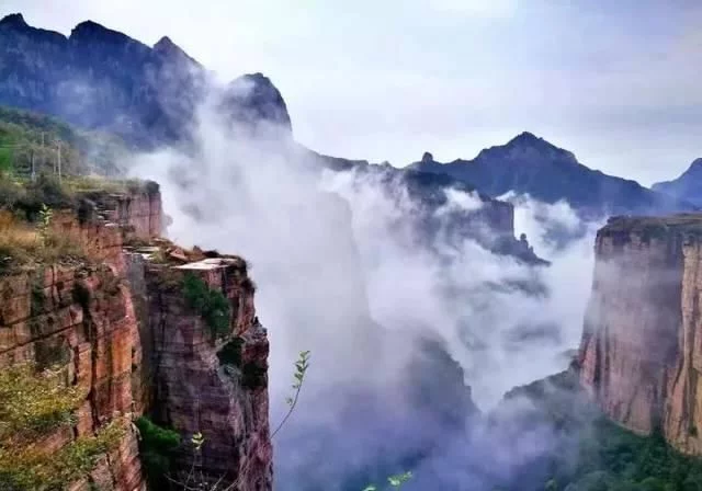新乡南太行|多情最是春雨生,花开疫散,就来这里踏青赏花吧【2020热门旅游景点】