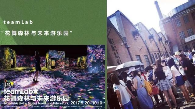 「排队超过」狂揽38万门票，“网红展”究竟是朝阳产业还是风口期吹上天的猪？