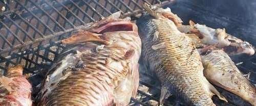 没有外交国防的岛国, 芒果任吃鲍鱼龙虾没人要, 秒杀马代对华免签