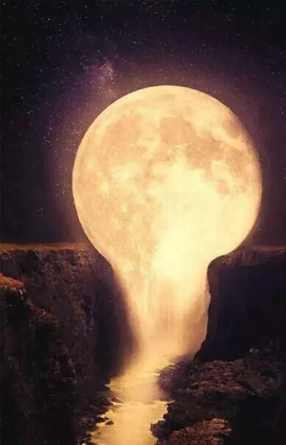 绝世照片，轰动世界