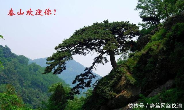  「山东省」山东共十七地市，但仅有六个明清时曾为府，你知道是