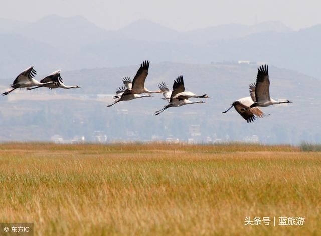 有一种心情，叫做突然想去云南！