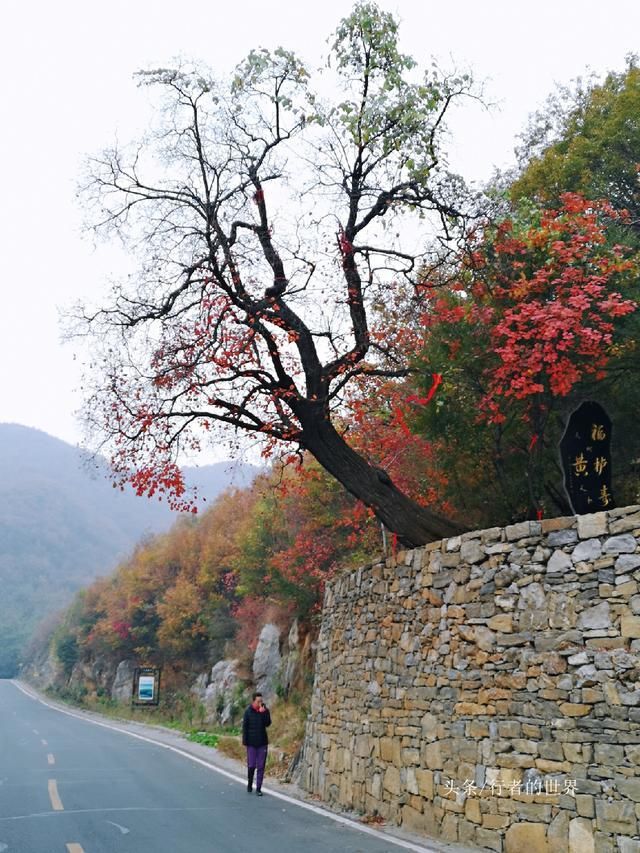 郑州巩义有条最美自驾公路，山路弯弯风光美，红叶奇石禅意浓