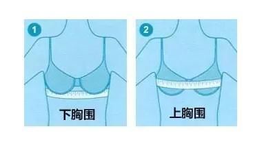 年纪轻轻就拥有飞机场?胸小是你没穿对吧