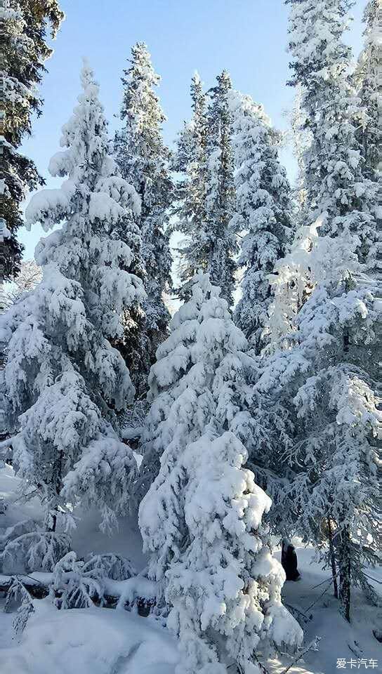 山上已经下雪了