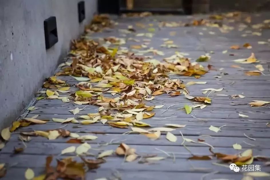 你的花园会呼吸吗？