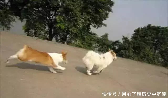  新房@不在农村住了，为什么很多人还要回老家盖一栋新房？