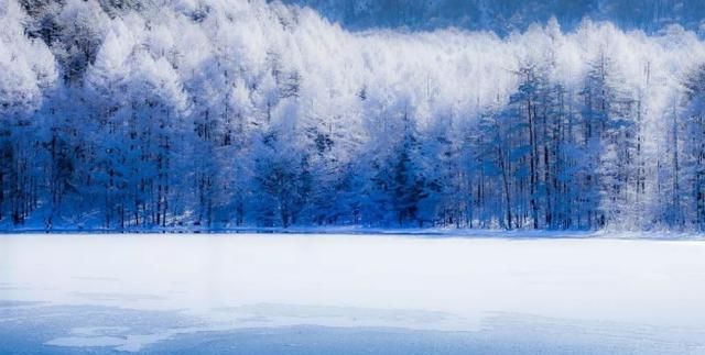 日本推荐！冬季一定不能错过的雪天绝景