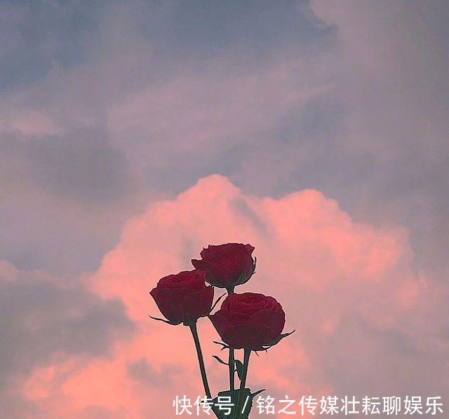 #好运#「晚安」再等等,花都开好了,你的好运也快来了