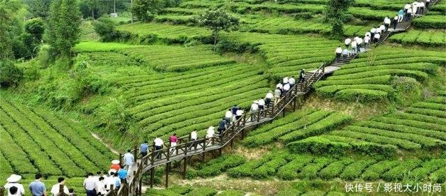 中国最尴尬的省份，既是南方又是北方，你分得清吗