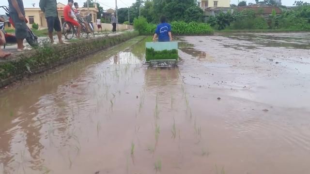 小伙发明“背式”插秧机，一个小时插秧2亩地，成本200元