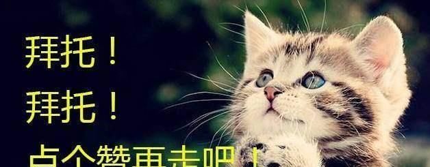  【好看】心理测试：选出你认为最好看的眼睛，测你今年的事业运好不好