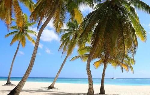  「我国」我国南部的这个岛屿，耗资1600亿，堪称世界“最大”人