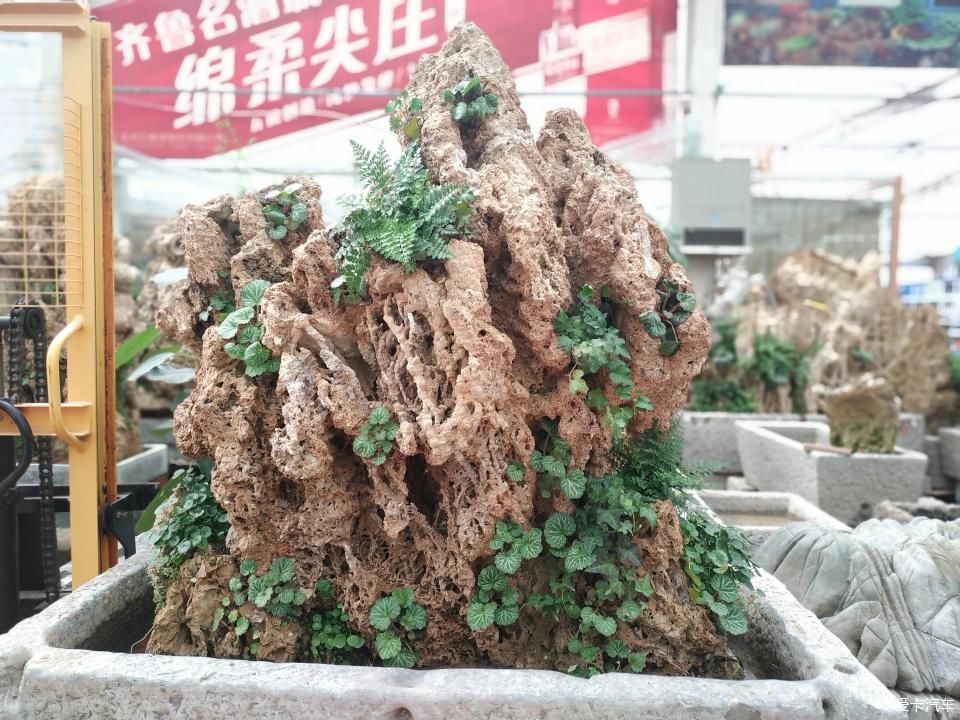  『色彩纷呈』【4月，你好】花花世界 色彩纷呈 赏心悦目