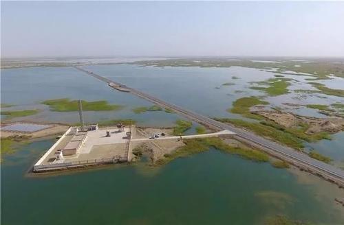 台特玛湖,塔里木河输水成湖!