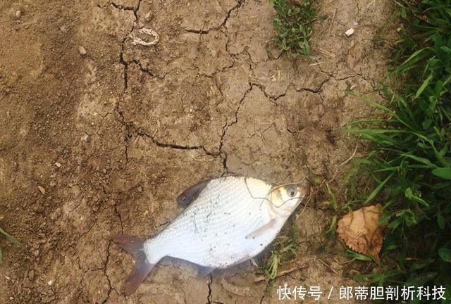  钓友@无论新手还是老手，钓鱼时都会遇到这些事，让人头疼不已