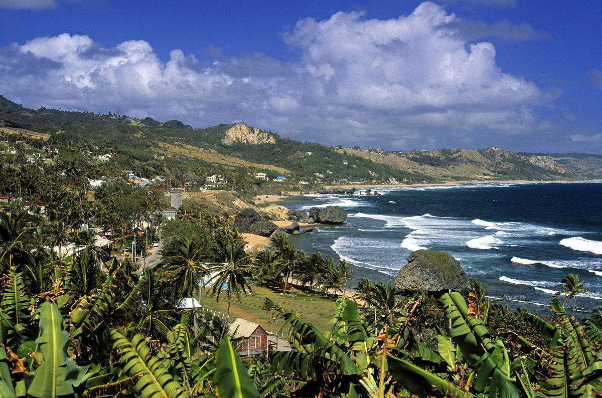 世界唯一黑人发达国家：全国80%黑人，却与韩国一同成发达国家