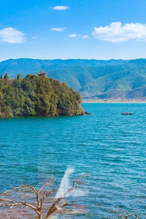 住进腾冲幽静的小院子，过上悠闲的养老生活，一花一草一世界