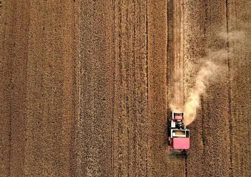  拖拉机：全国农民注意！“大马拉小车”问题农机危害多，如何鉴