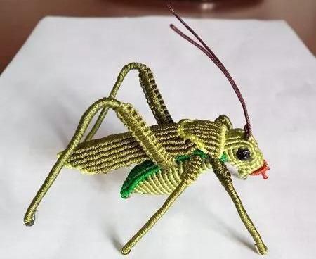  #绳子#一根绳子能干嘛？能编的东西太多了！结绳手工好强大，什么都能编
