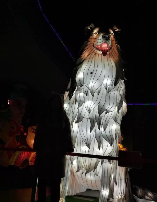  「样子」有个不会拍照的男朋友是种什么体验？哈哈哈哈哈哈哈！