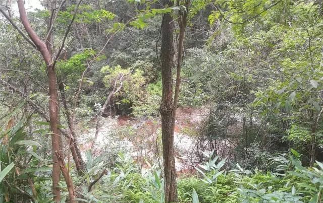  「大若岩镇」温州芙蓉岭古道，浙江省十大人文古道之一