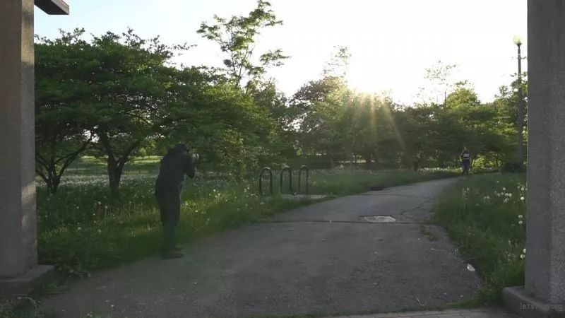 使用长焦镜头能拍出怎样的照片？