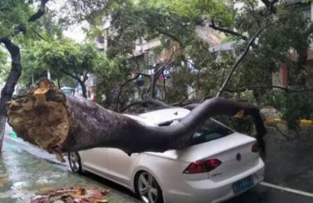 因“山竹”被淹,被砸的车,保险公司会赔钱吗?保险员是这么说的