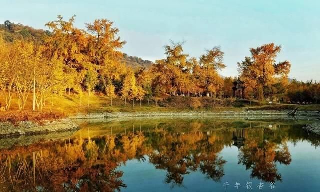 不用去婺源，湖北也有神仙秋景可赏，自驾2小时直达！