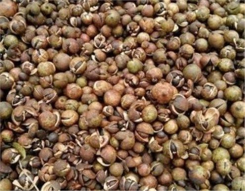 农民用来种地的肥料，城里人当宝一样看待，被称为“东方橄榄油”