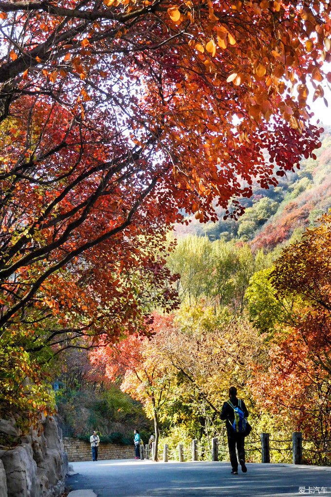 红遍万山的红叶谷【2020热门旅游景点】