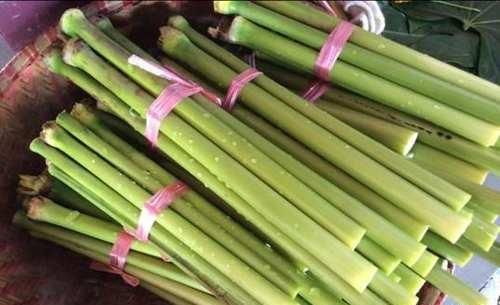  可知|南方有种作物叫甘蔗, 你可知: 到了北方叫什么