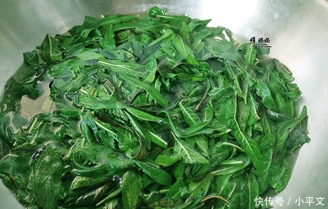  「皮肤」50岁阿姨皮肤紧致，头发茂密，原因竟是常吃它，很多人家都种过