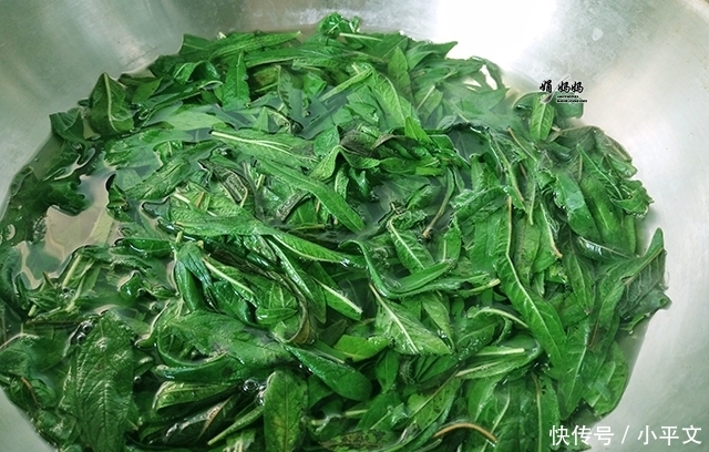 「皮肤」50岁阿姨皮肤紧致,头发茂密,原因竟是常吃它,很多人家都种过