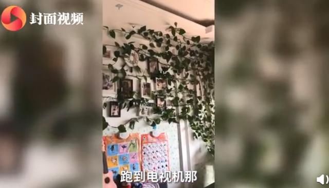  『主人』因疫情7个月没回家客厅变植物园，主人服气：不剪了，留着