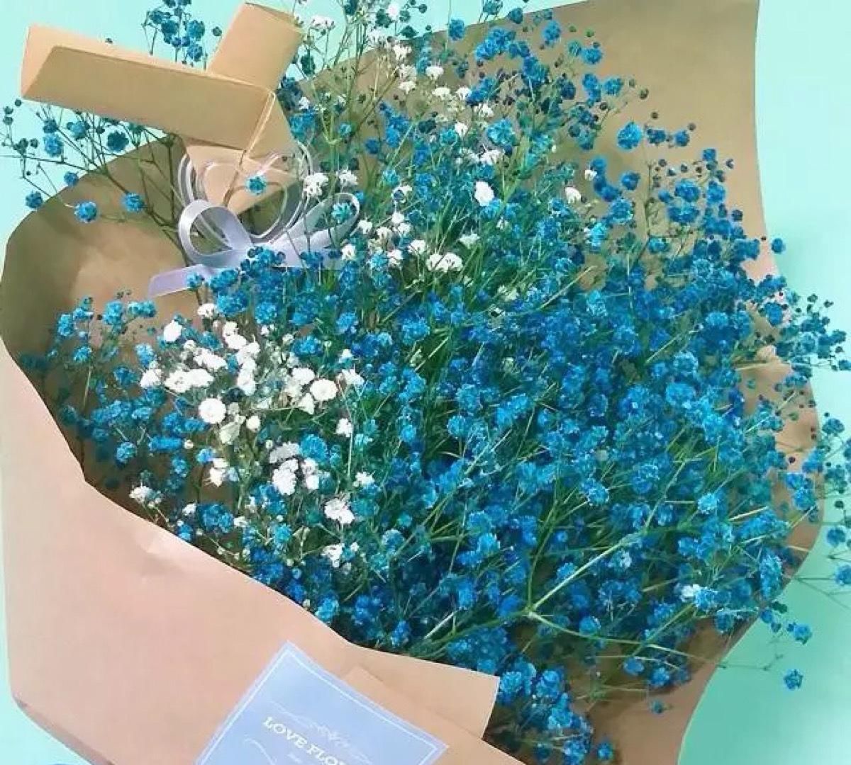  阳光|山东当下都喜欢种植哪些花卉？这几种也很适合新手