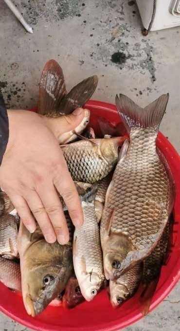  「天气」这种天气，钓鱼要注意，一些细节决定渔获