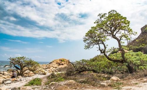 三亚摄氏30度以上，游客却纷纷前去避暑