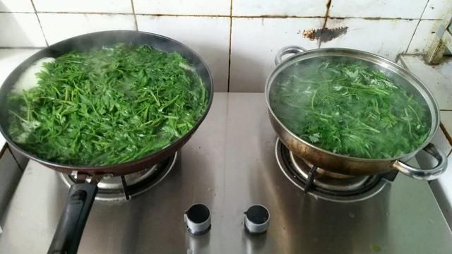 #提神醒脑#驱蚊 | 18种除虫香草，杀菌驱蚊虫，叶子还能炒菜吃