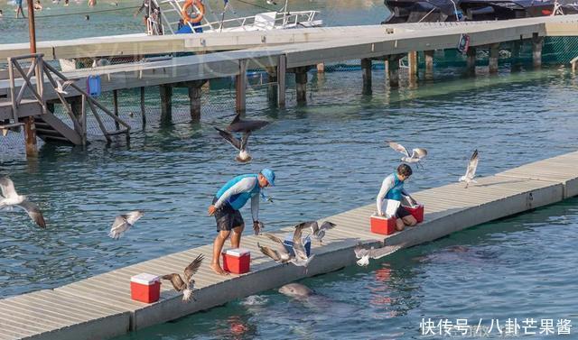  『乐园』在幽蓝的加勒比海边游神秘乐园（被疫情撞了腰的墨西哥行程05）