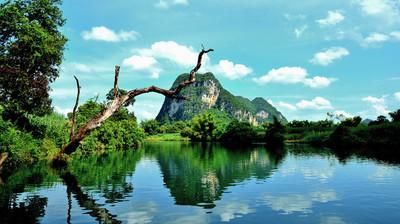 住进腾冲幽静的小院子，过上悠闲的养老生活，一花一草一世界