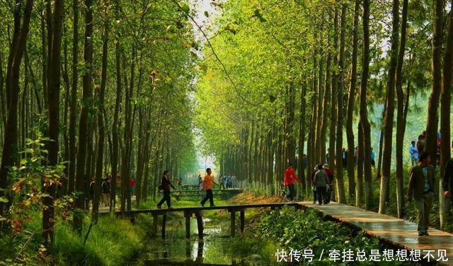 安徽被遗忘的一处公园,属国家级森林公园,创造出一个中国第一